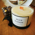 Secret Message Candle