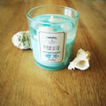 Aquatic Candles - 2022