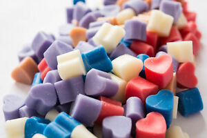 Scented Wax Melts with Melter